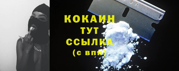СК Волосово