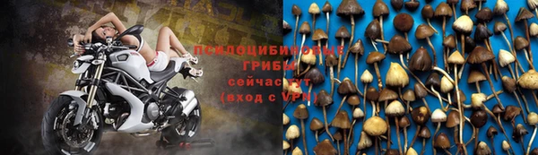 прущие крисы Верея