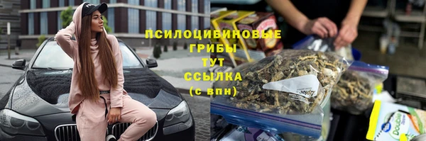 прущие крисы Верея