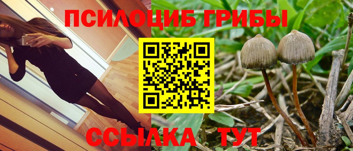 COCAIN  МАРИХУАНА  Codein  МАРИХУАНА  Alpha PVP СК   ГАШИШ  Вход с VPN  Северобайкальск  MDMA  Мефедрон кристаллы 