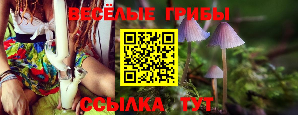 Галлюциногенные грибы Cubensis Северобайкальск
