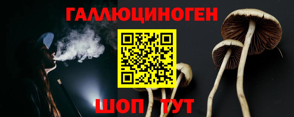 Северобайкальск  Галлюциногенные грибы мухоморы  Псилоцибиновые грибы прущие грибы  Вход с VPN 
